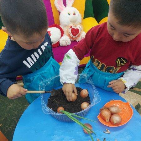 Ашық ұйымдастырылған оқу қызметі