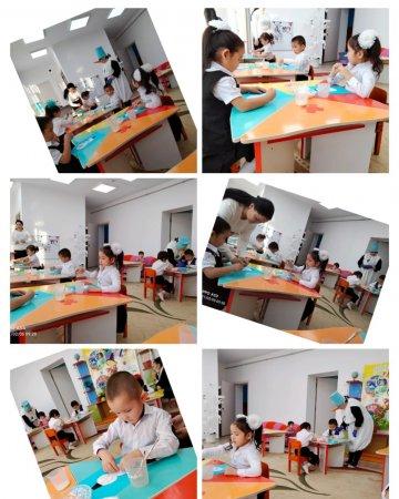 Ашық ұйымдастырылған оқу қызметі